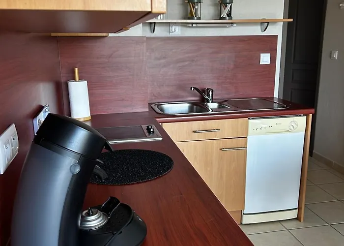 Apartmán L'erable T2 Climatise